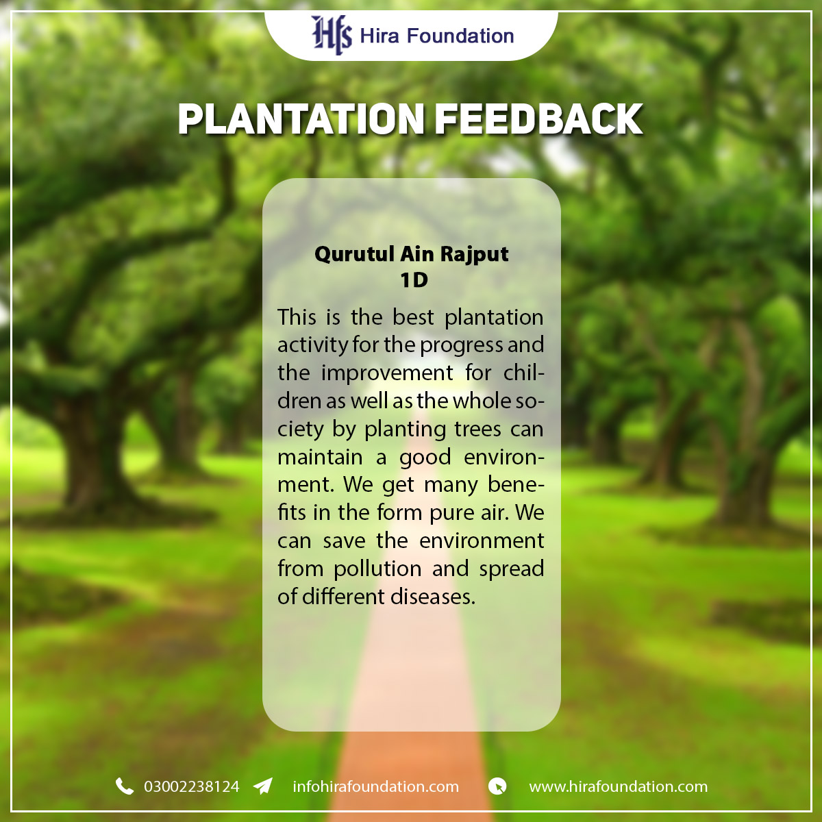 Plantation feedback